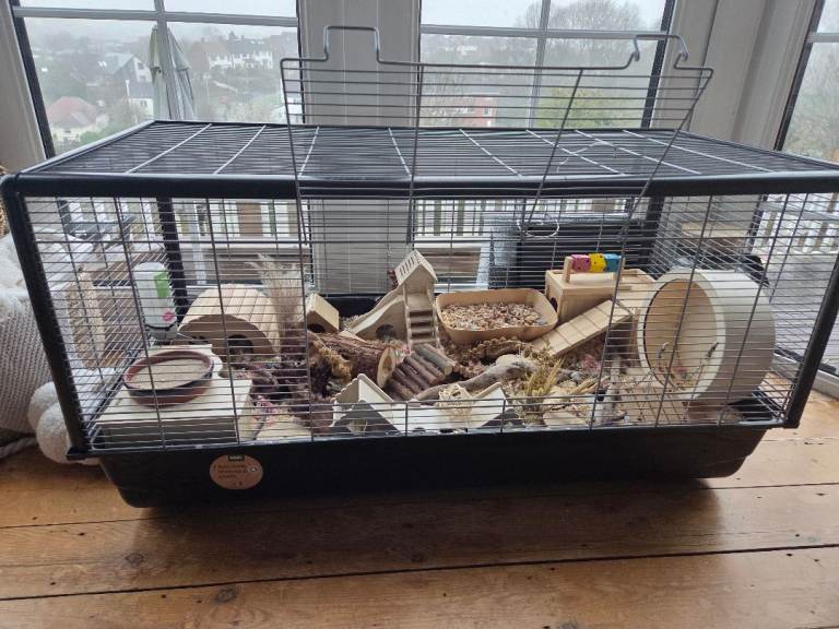 Hamster cage