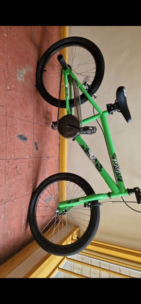 20in BMX (Christmas Sale)