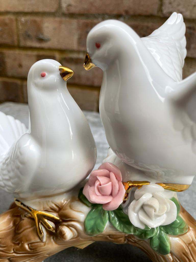 Two White Doves
