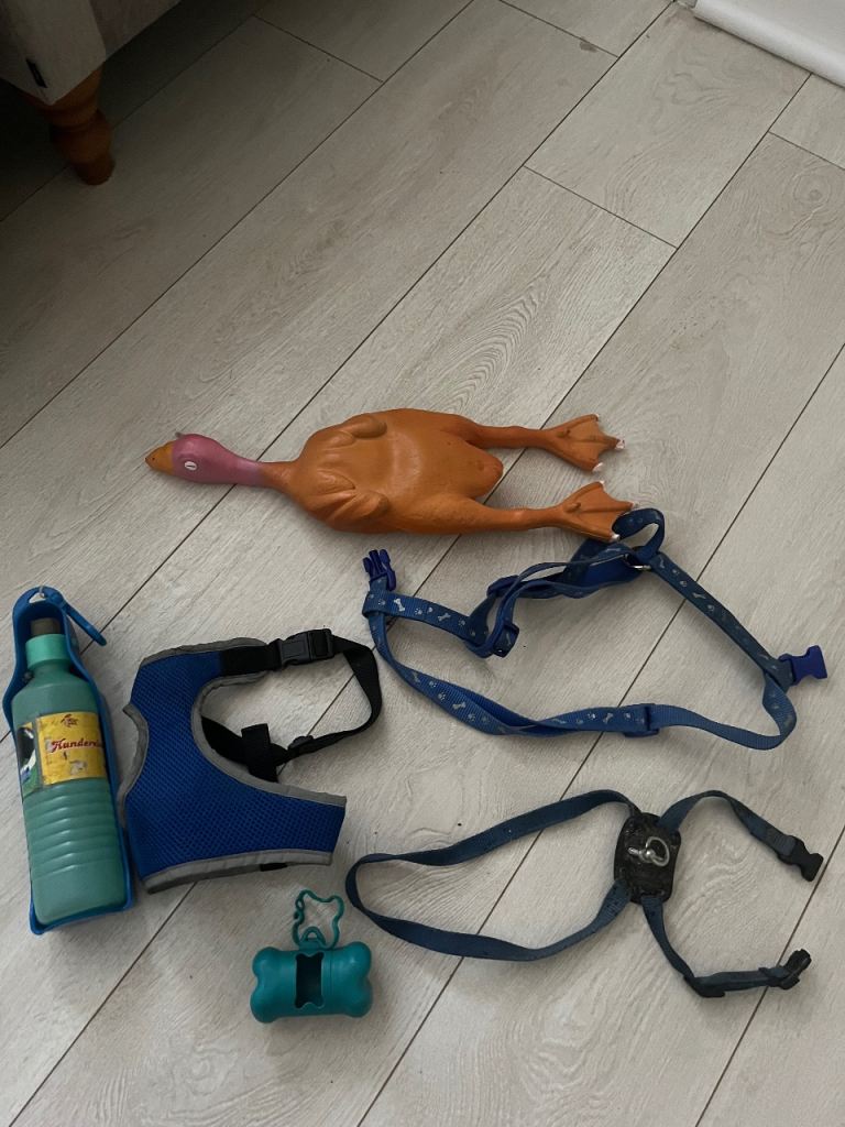 Blue Dog Walking Bundle - Harnesses, Poop Bag Holder, Water bottle & Toy