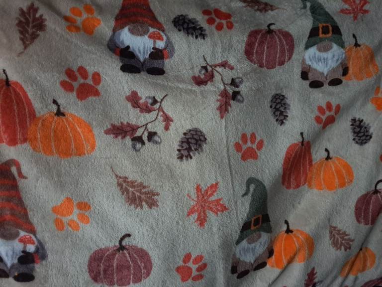 Pet bed 