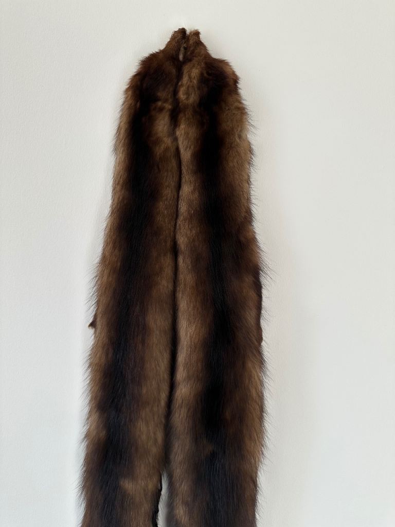 Coat collar fox fur Circa 1940/1950’s