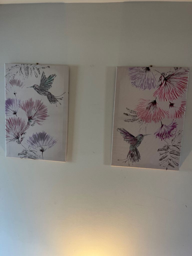 Next Bird & Flower Pictures 