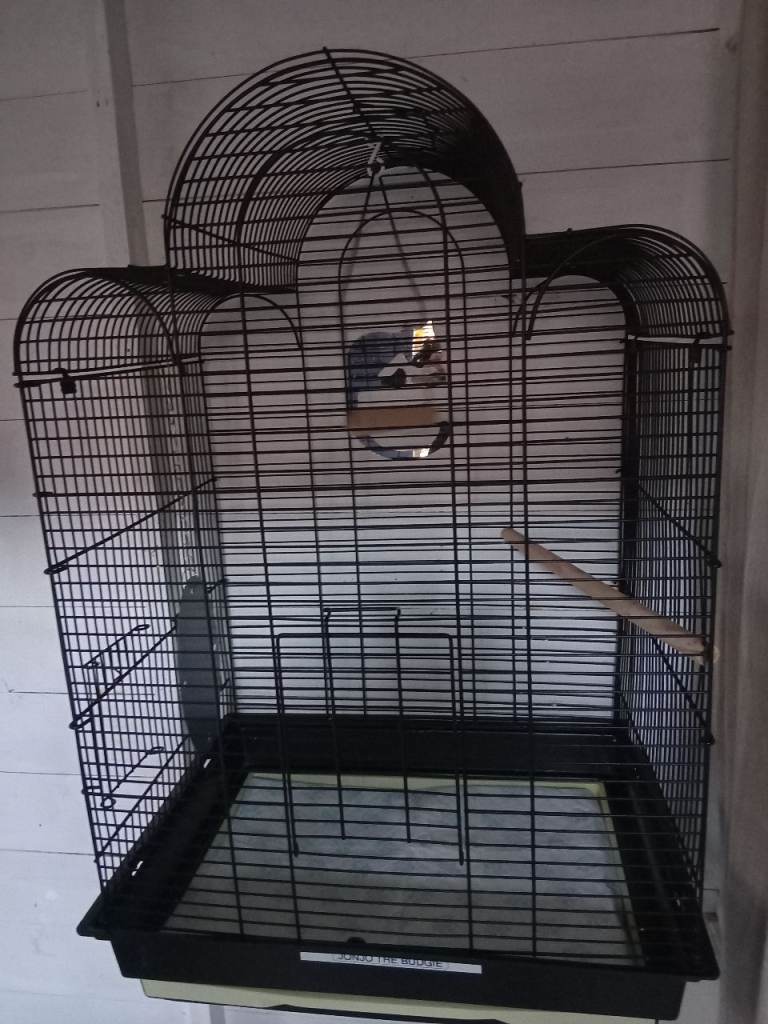 Bird cage