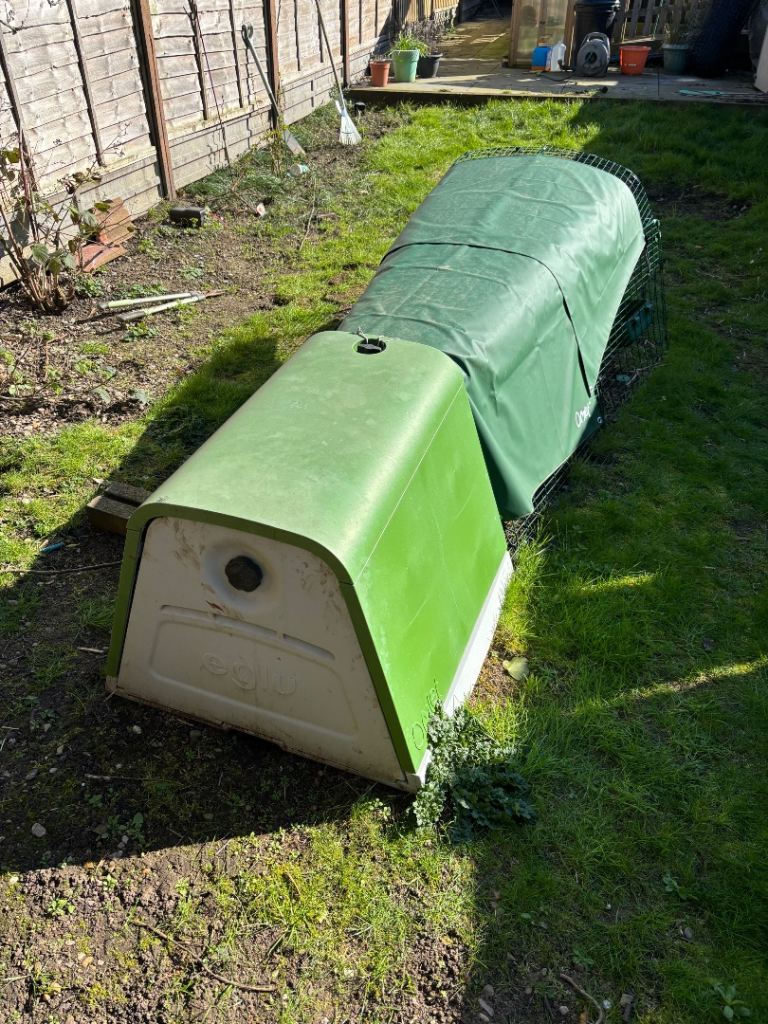 Eglu go coop and accessories 