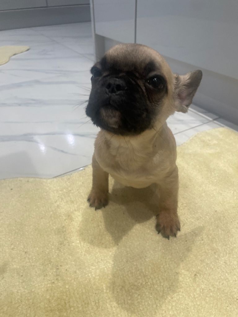 Ready now for there 4ever homes 