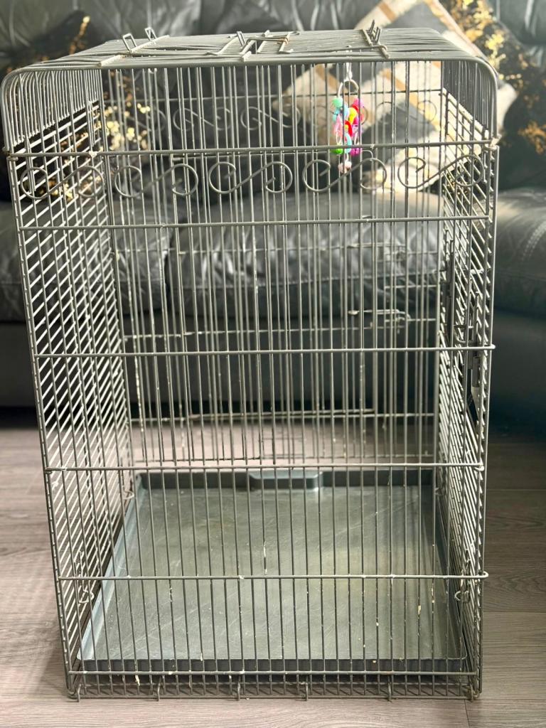 Birdcage