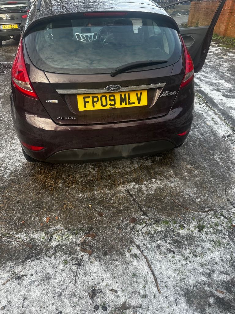 Ford, FIESTA, Hatchback, 2009, Manual, 1399 (cc), 3 doors