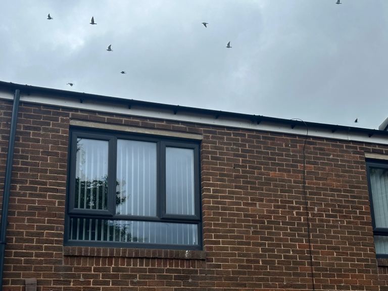 One bedroom flat to rent 