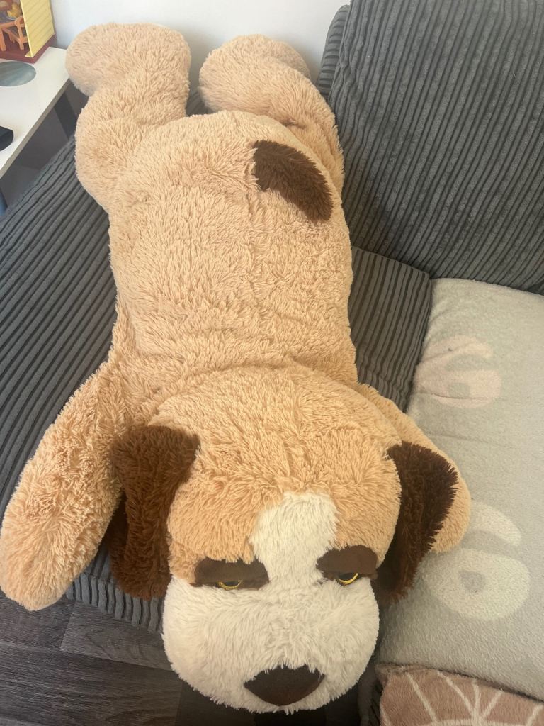 Large dog teddy 