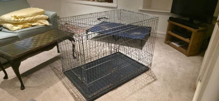 Very large dog cage