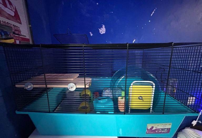 Hamster cage 