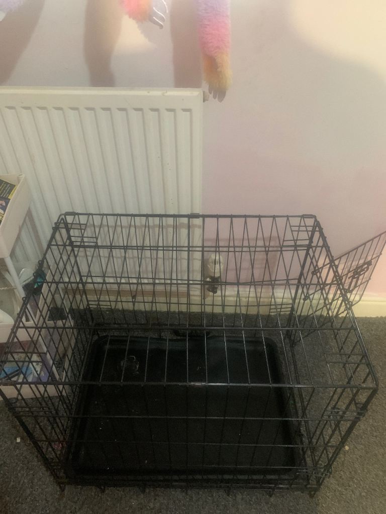Cat/dog cage 