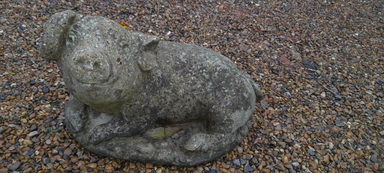 Concrete pig garden Ornament 