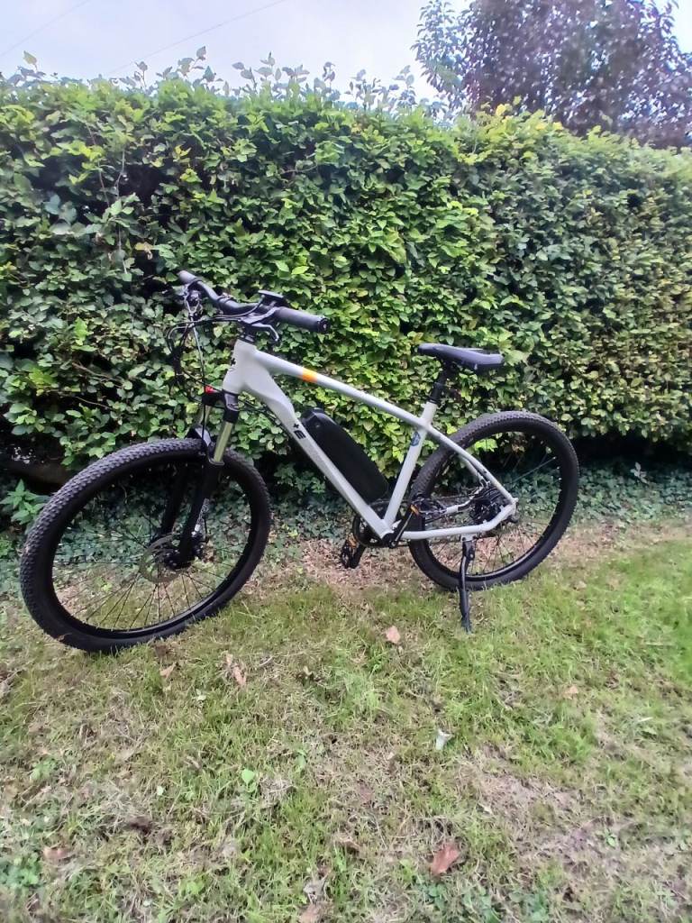 L+ETRO Electric mountainbike