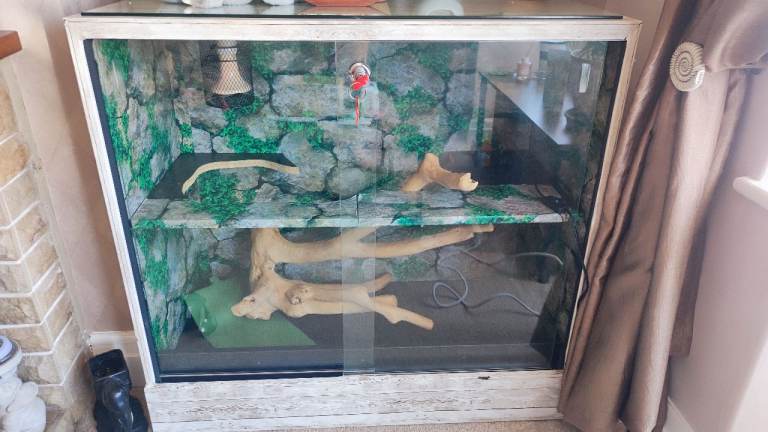 Vivarium and all accessories