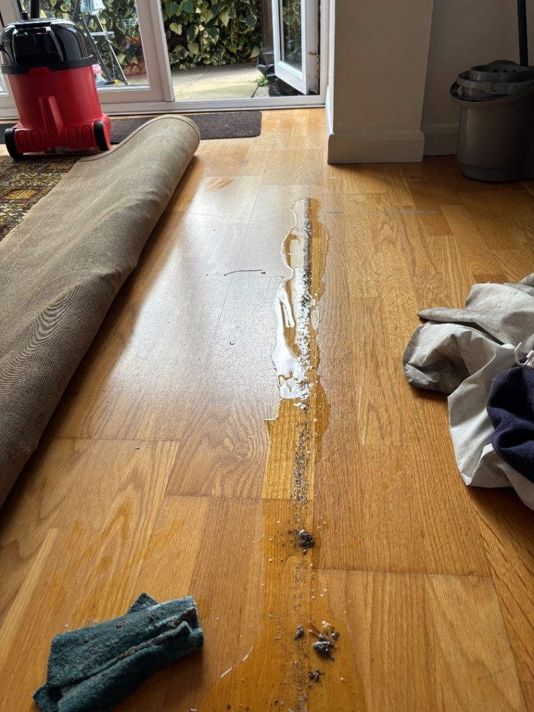 Prestige hospitality Cleaning