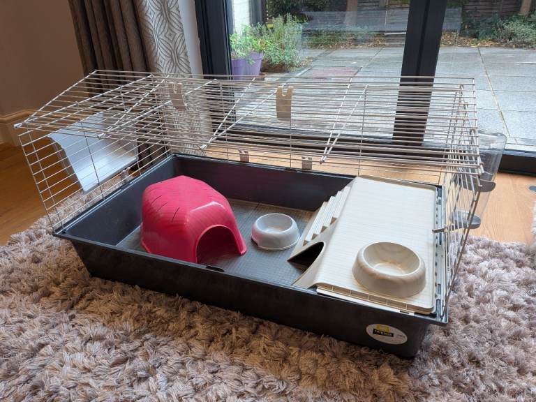 Guinea pig hutch and accessories
