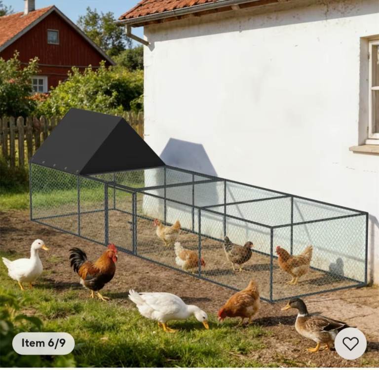 Chicken coop