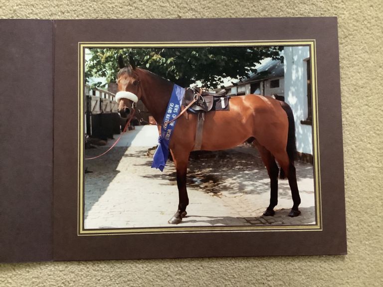 Early 1980’s photograph of Red Rum race horse - 3 times Grand National winner 10x8” in sleeve