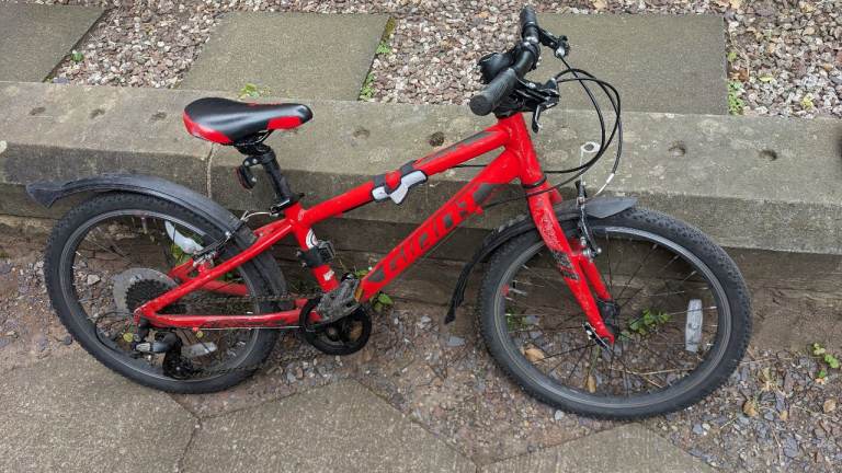 20 inch 8 speed giant bike