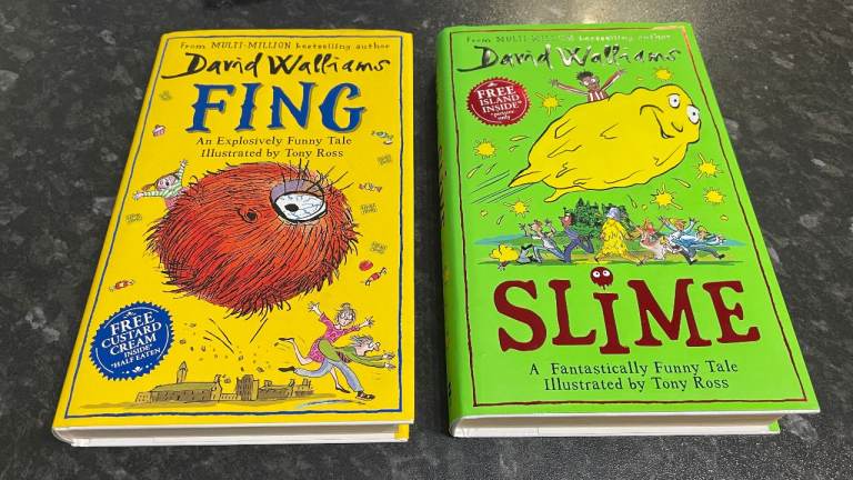 David Walliams 'Fing' & 'Slime' Hardcover Books