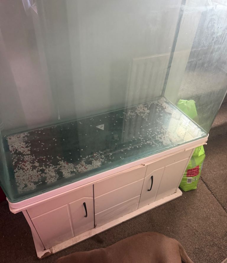 295 litre aquarium with stand 