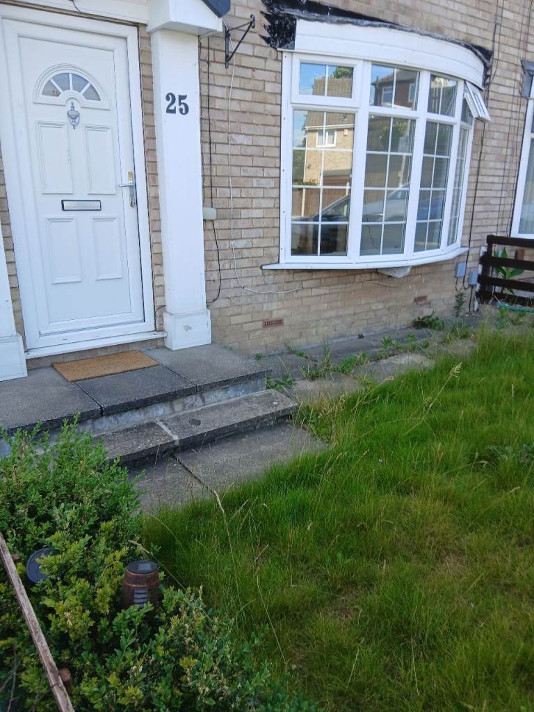3 bedroom house to rent