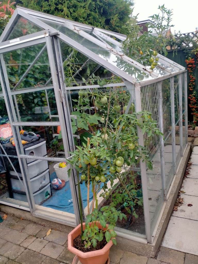 Used 6x8 Greenhouse with Aluminium Frame and Glass Panels
