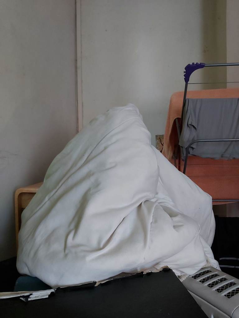 Free EXTRA THICK double duvet 13 tog with cover 