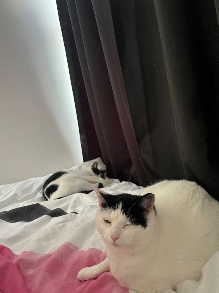 2 sisters that need a foster home.