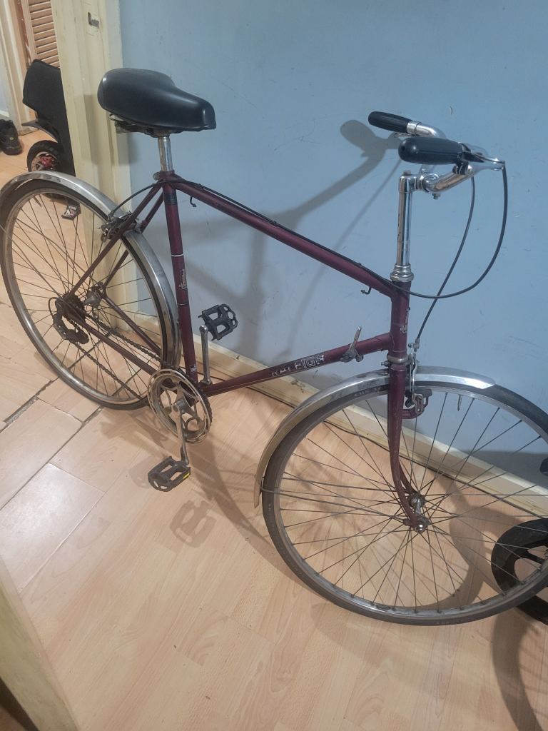 Raleigh hybrid unisex bike