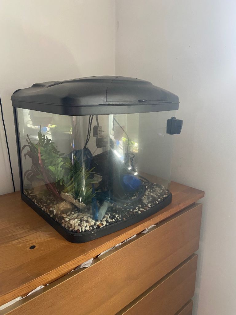 Fish box aquarium 55L