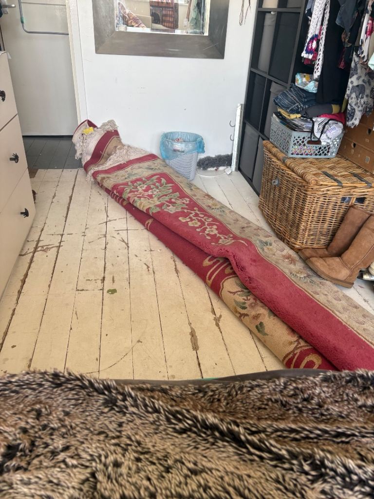 Huge rug for free
