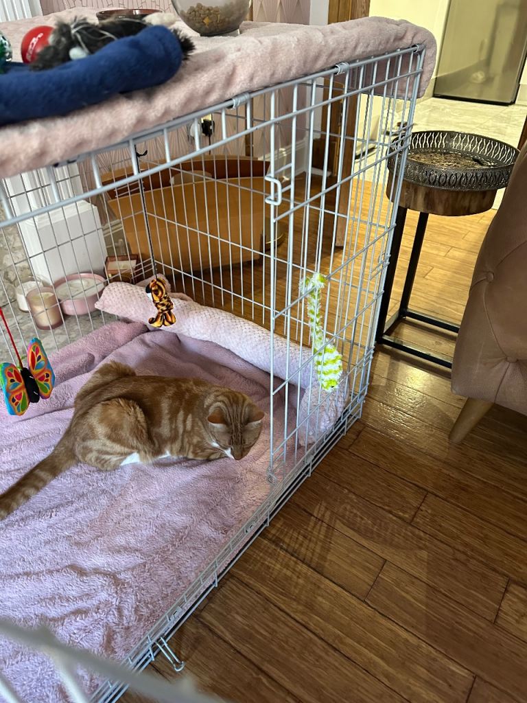 Large dog pet cage like new grey with plastic tray two way opening 