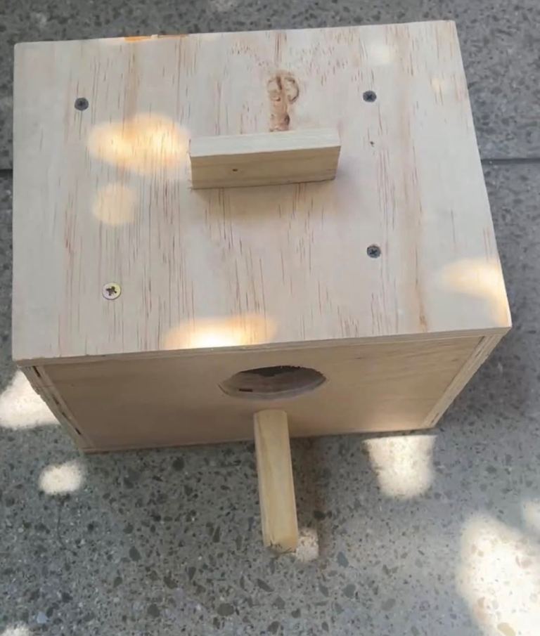Breeding box new £15