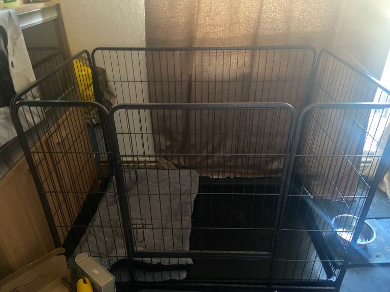 Large dog crate 