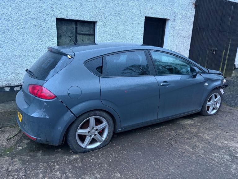 Seat Leon for breaking 