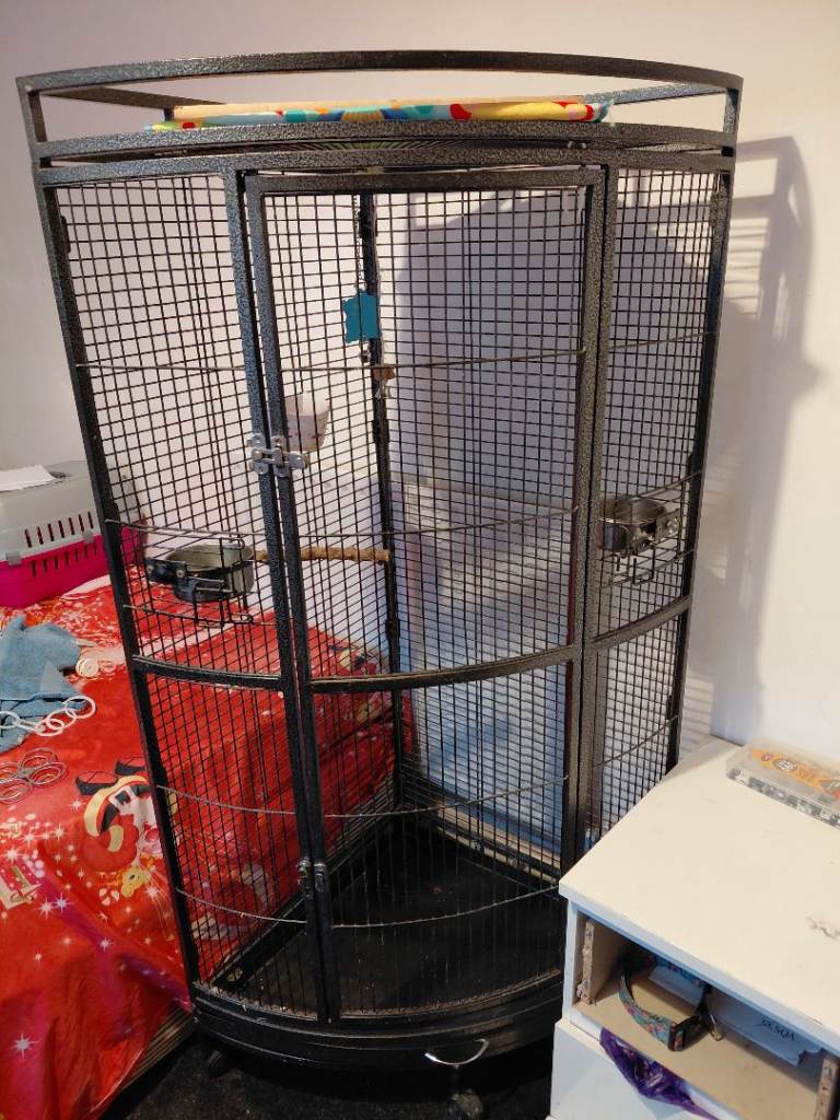 Suitable for parotts 