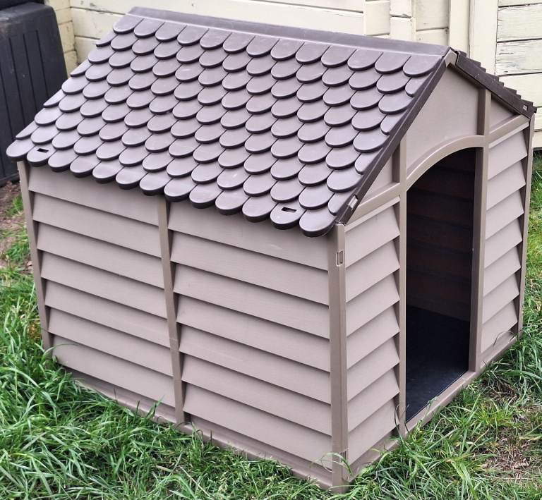 Dog House