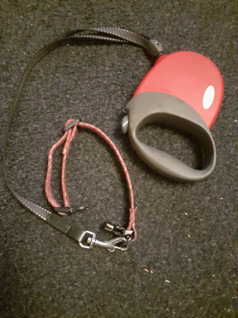 Flexi Dog Lead