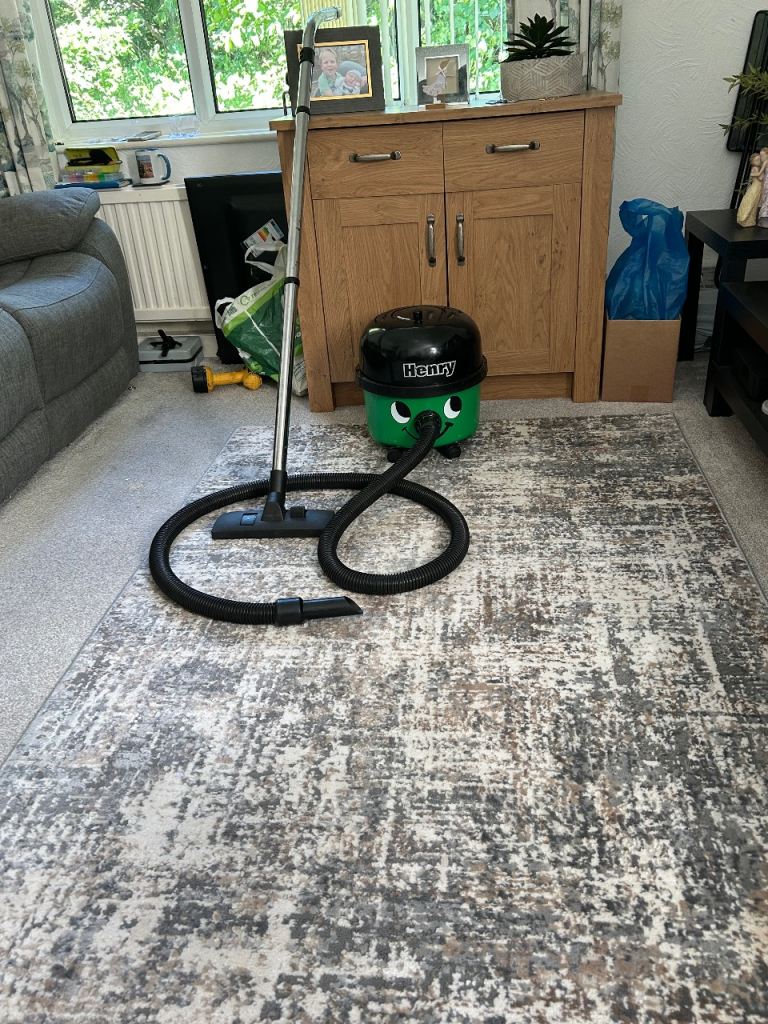 Henry Vacuum Cleaner (SOlD )