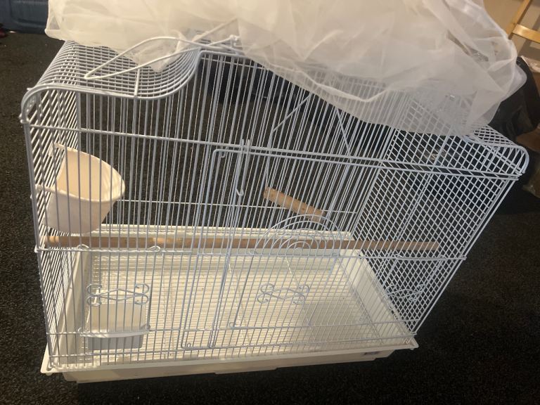 Bird cage 