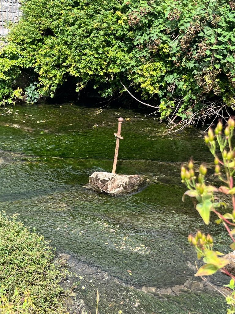 Daytime activity partner