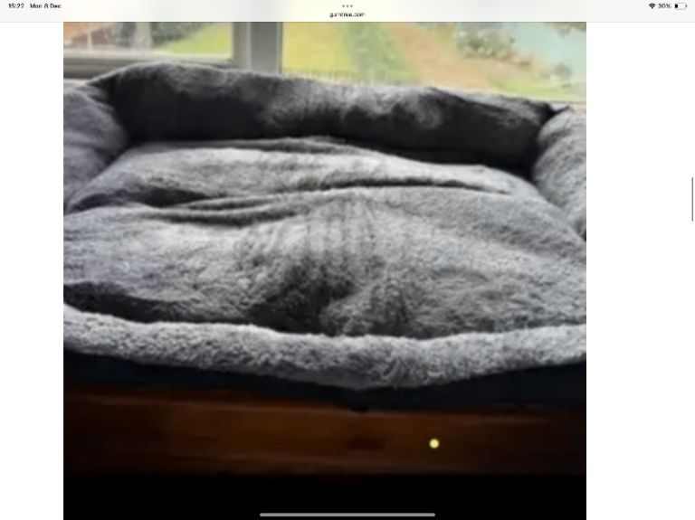 Xl super soft pet bed for cats or dogs bargain £30