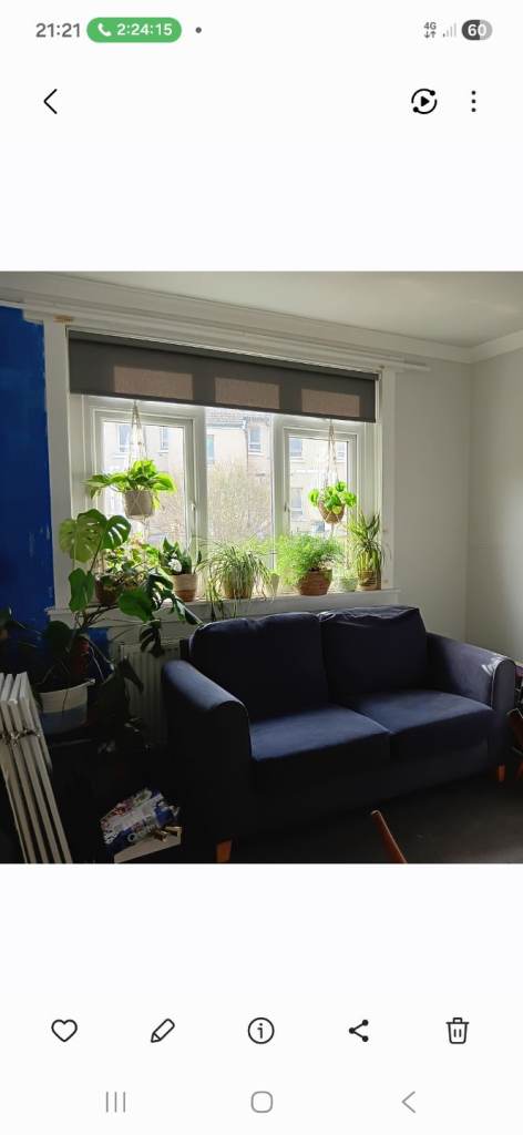 Seafront property with own garden