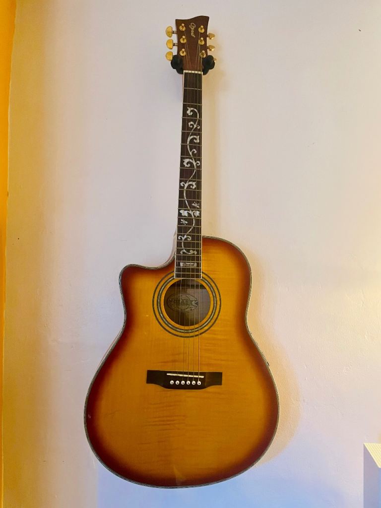 Ozark Left-Handed Electro-Acoustic Guitar (Cutaway) – Excellent Condition 