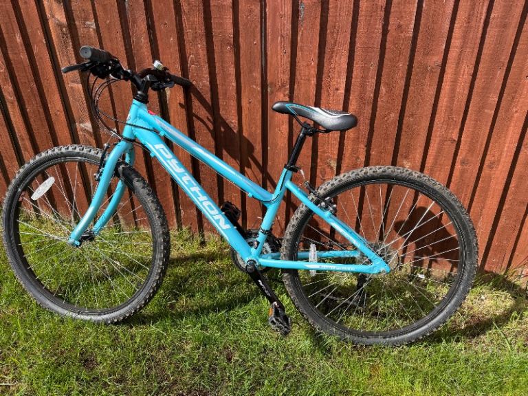 Girls Mountain Bike (Python)