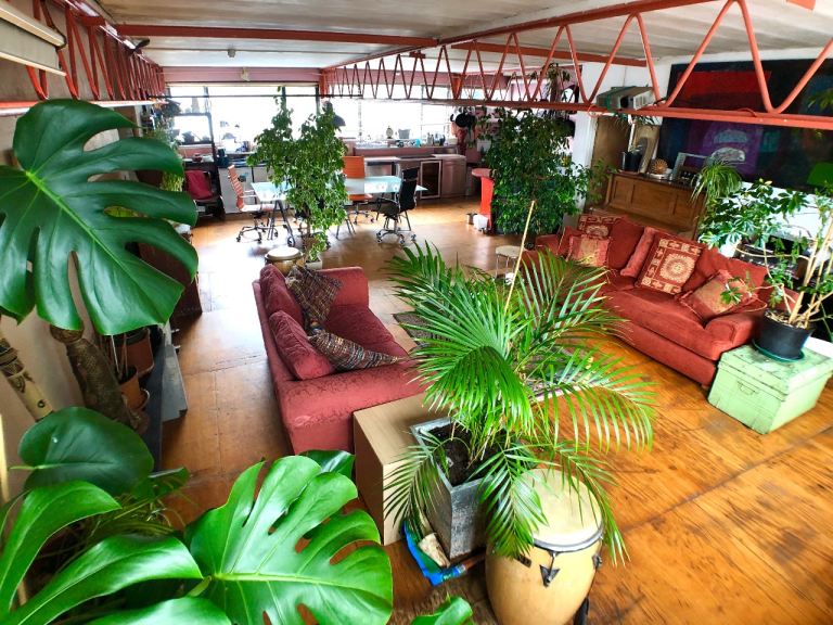 Large Bright  Dbl sized room in spacious Warehouse Apartment, Manor House, N4 1FF.