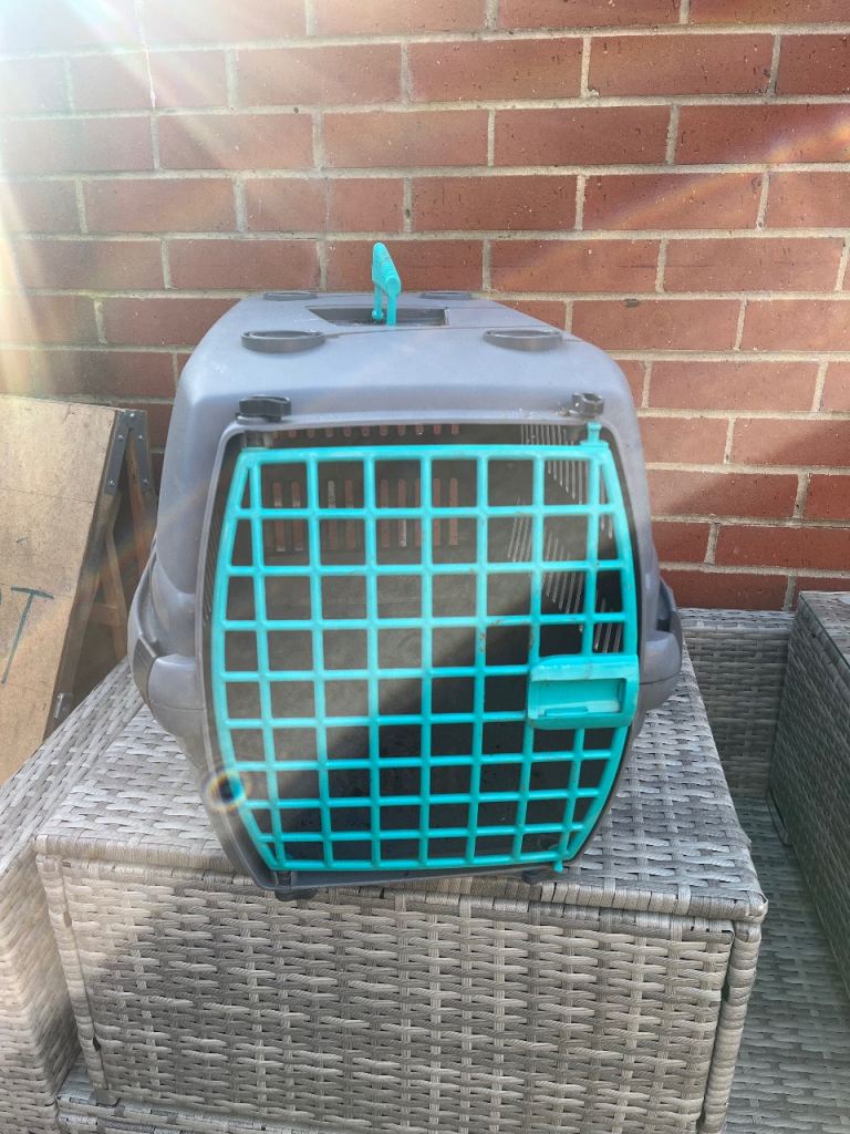 cat carrier 